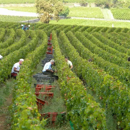 Appartement Le Jardin Des Chanceliers Beaune (Cote d'Or)