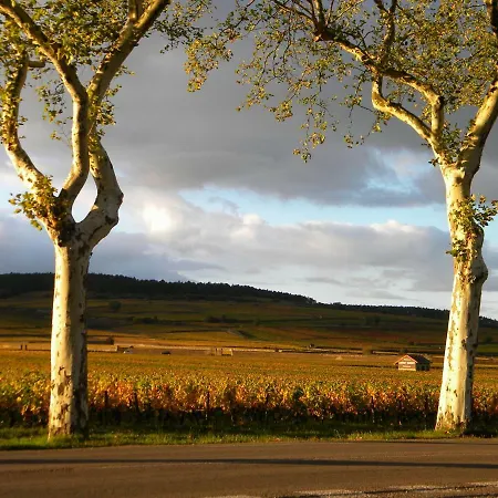 Le Jardin Des Chanceliers Appartement Beaune (Cote d'Or)