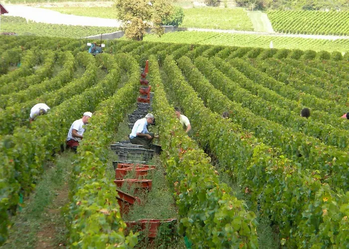 Appartement Le Jardin Des Chanceliers Beaune (Cote d'Or)