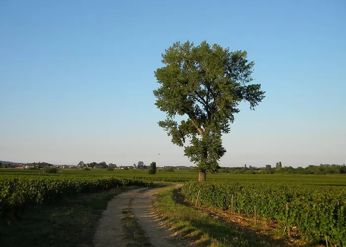 公寓 Le Jardin Des Chanceliers