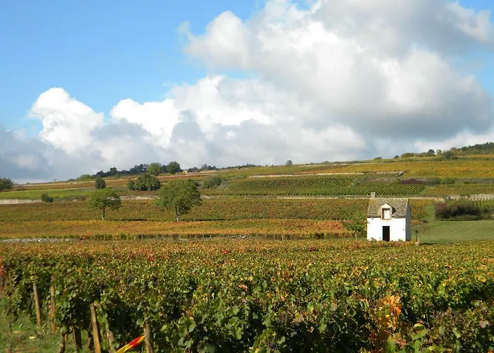 公寓 Le Jardin Des Chanceliers