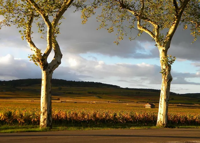 Le Jardin Des Chanceliers 公寓 博讷